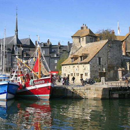 Studio Meuble Jacynthe Proche Le Havre - Etretat - Honfleur Saint-Romain-de-Colbosc المظهر الخارجي الصورة